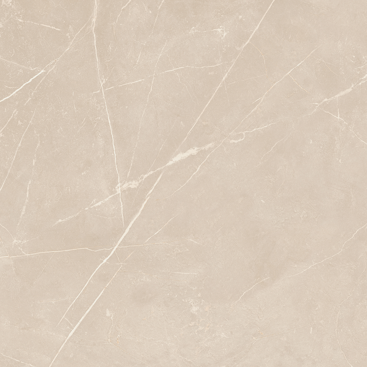 Плитка из керамогранита NL01 60x60x10 Непол.Рект. (Керамический гранит)