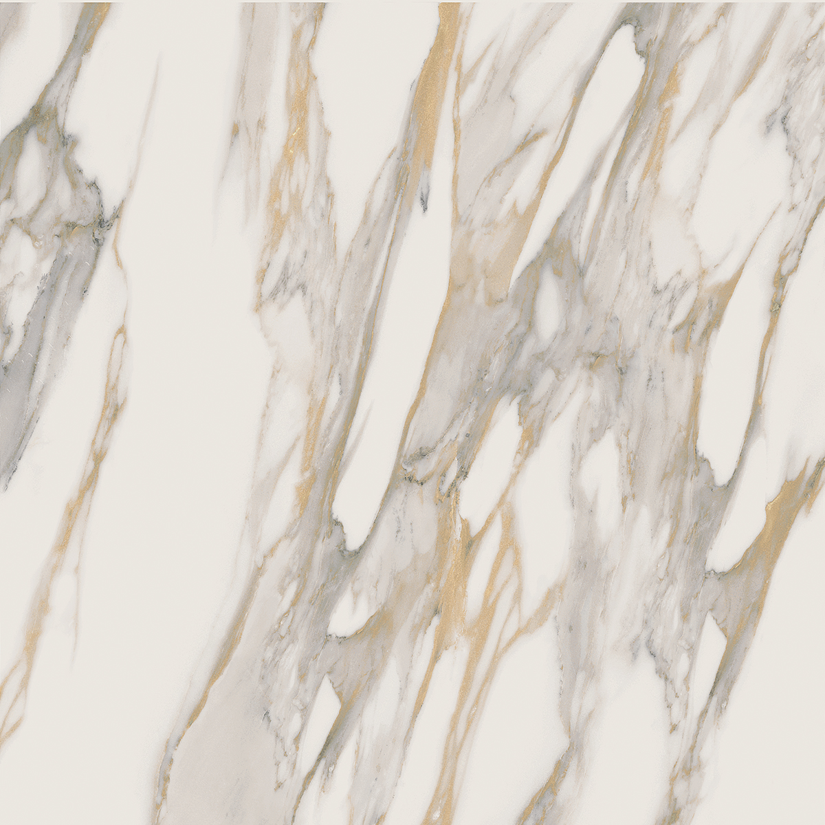 Плитка из керамогранита RM01 60x60x10 Полир. (Керамический гранит)