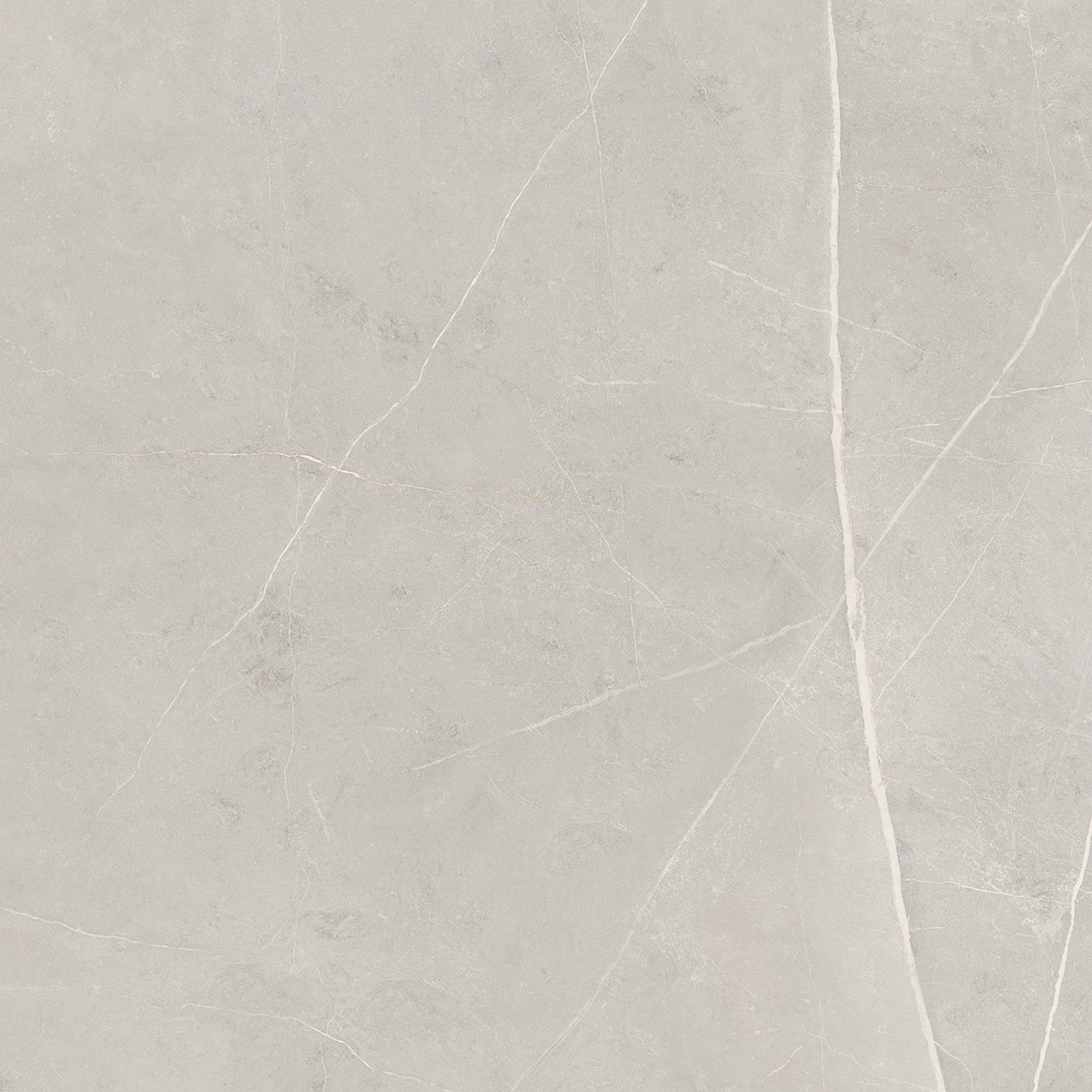 Плитка из керамогранита NL02 60x60x10 Непол.Рект. (Керамический гранит)