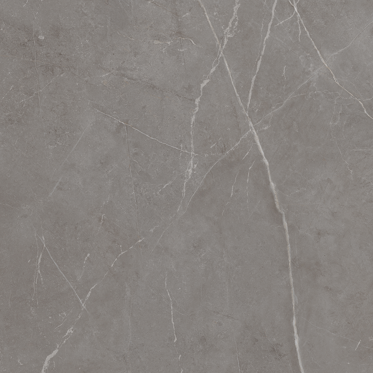 Плитка из керамогранита NL03 60x60x10 Непол.Рект. (Керамический гранит)