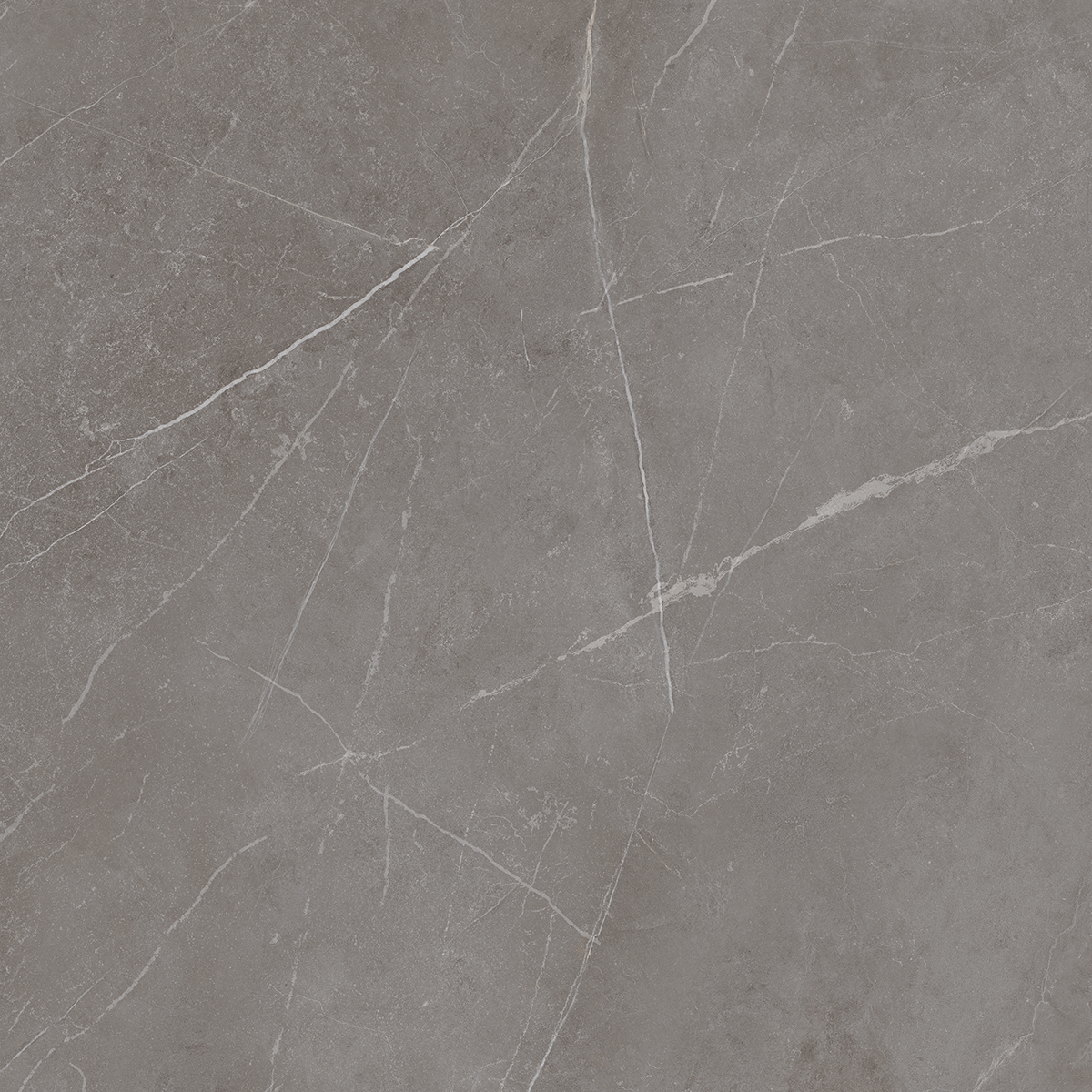 Плитка из керамогранита NL03 60x60x10 Непол.Рект. (Керамический гранит)
