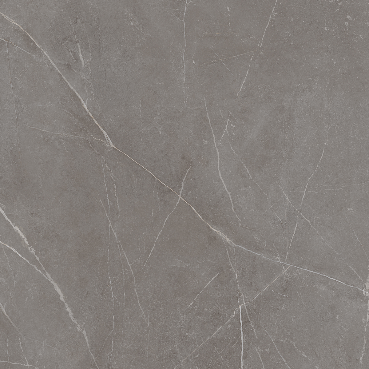 Плитка из керамогранита NL03 60x60x10 Непол.Рект. (Керамический гранит)