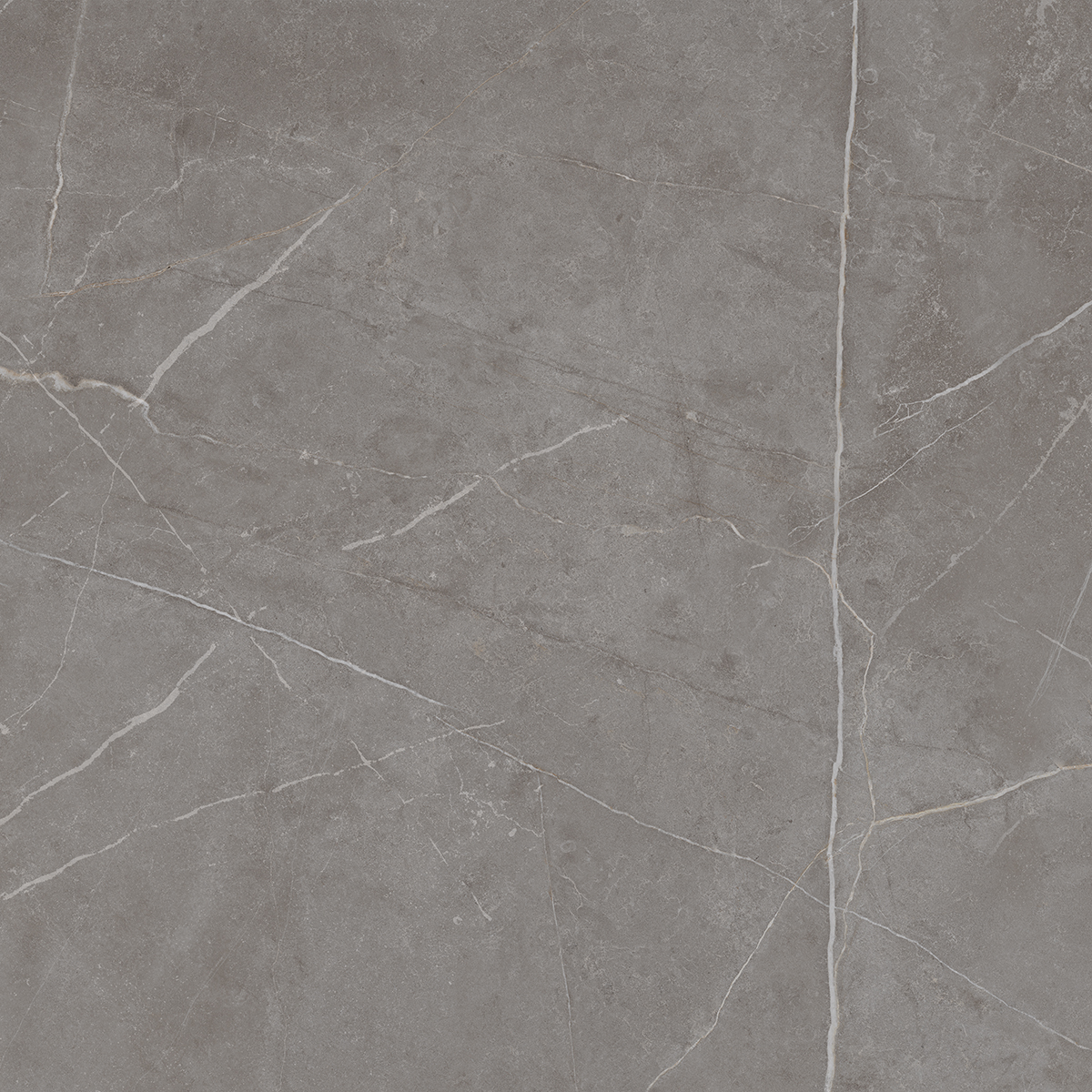 Плитка из керамогранита NL03 60x60x10 Непол.Рект. (Керамический гранит)