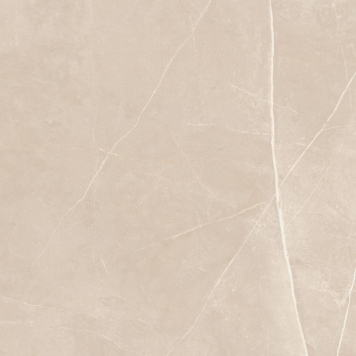 Плитка из керамогранита NL01 60x60x10 Непол.Рект. (Керамический гранит)
