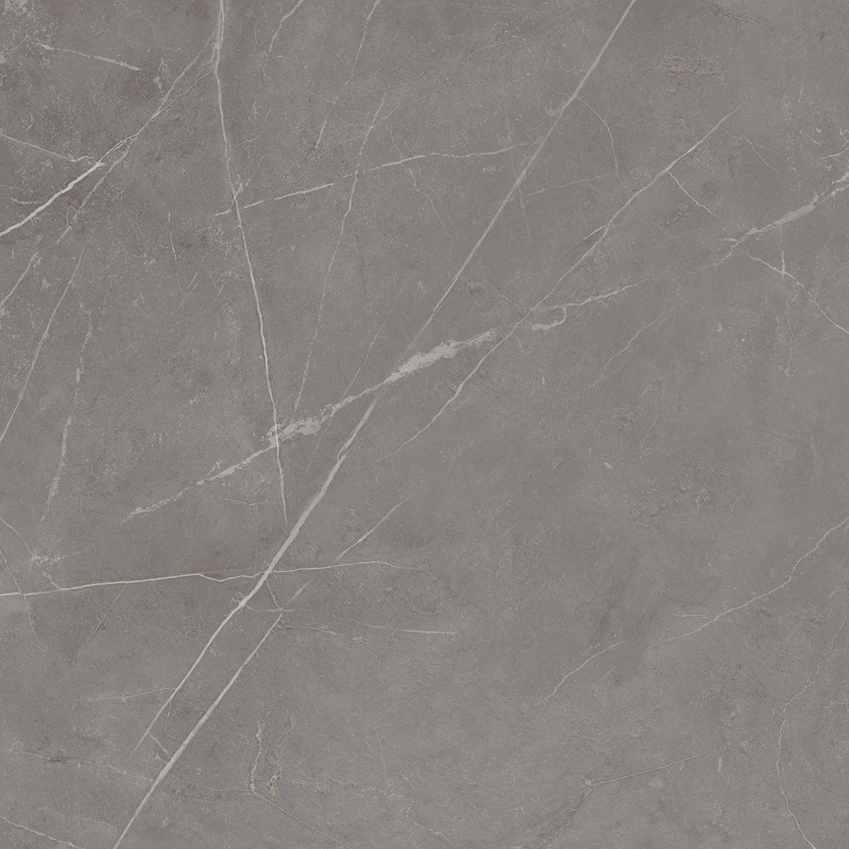 Плитка из керамогранита NL03 60x60x10 Непол.Рект. (Керамический гранит)