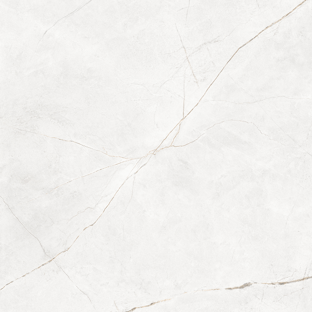 Плитка из керамогранита NL00 60x60x10 Непол.Рект. (Керамический гранит)