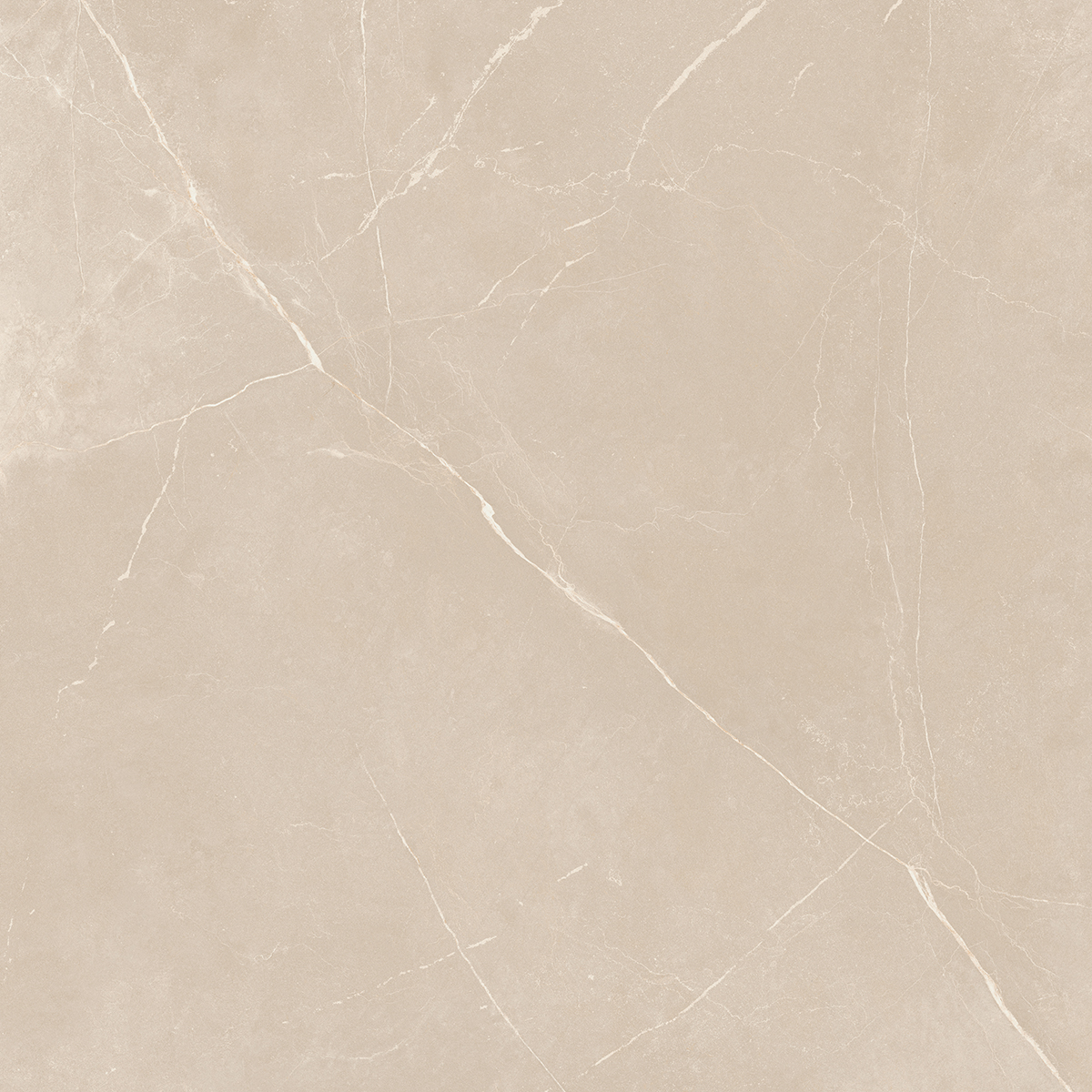 Плитка из керамогранита NL01 60x60x10 Непол.Рект. (Керамический гранит)