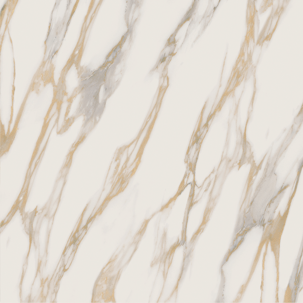 Плитка из керамогранита RM01 60x60x10 Полир. (Керамический гранит)