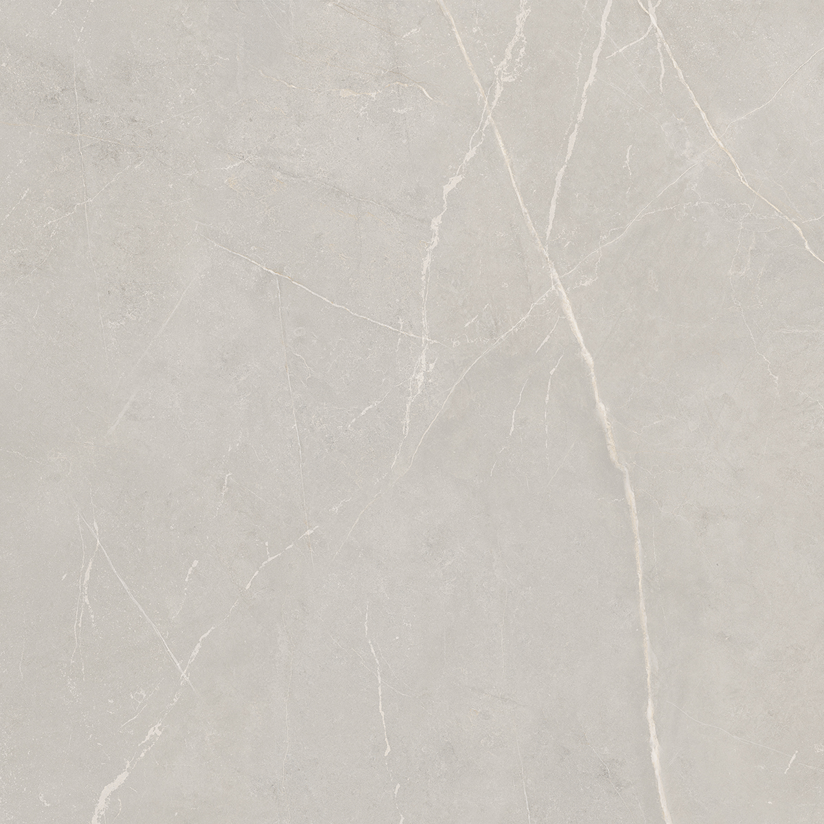 Плитка из керамогранита NL02 60x60x10 Непол.Рект. (Керамический гранит)
