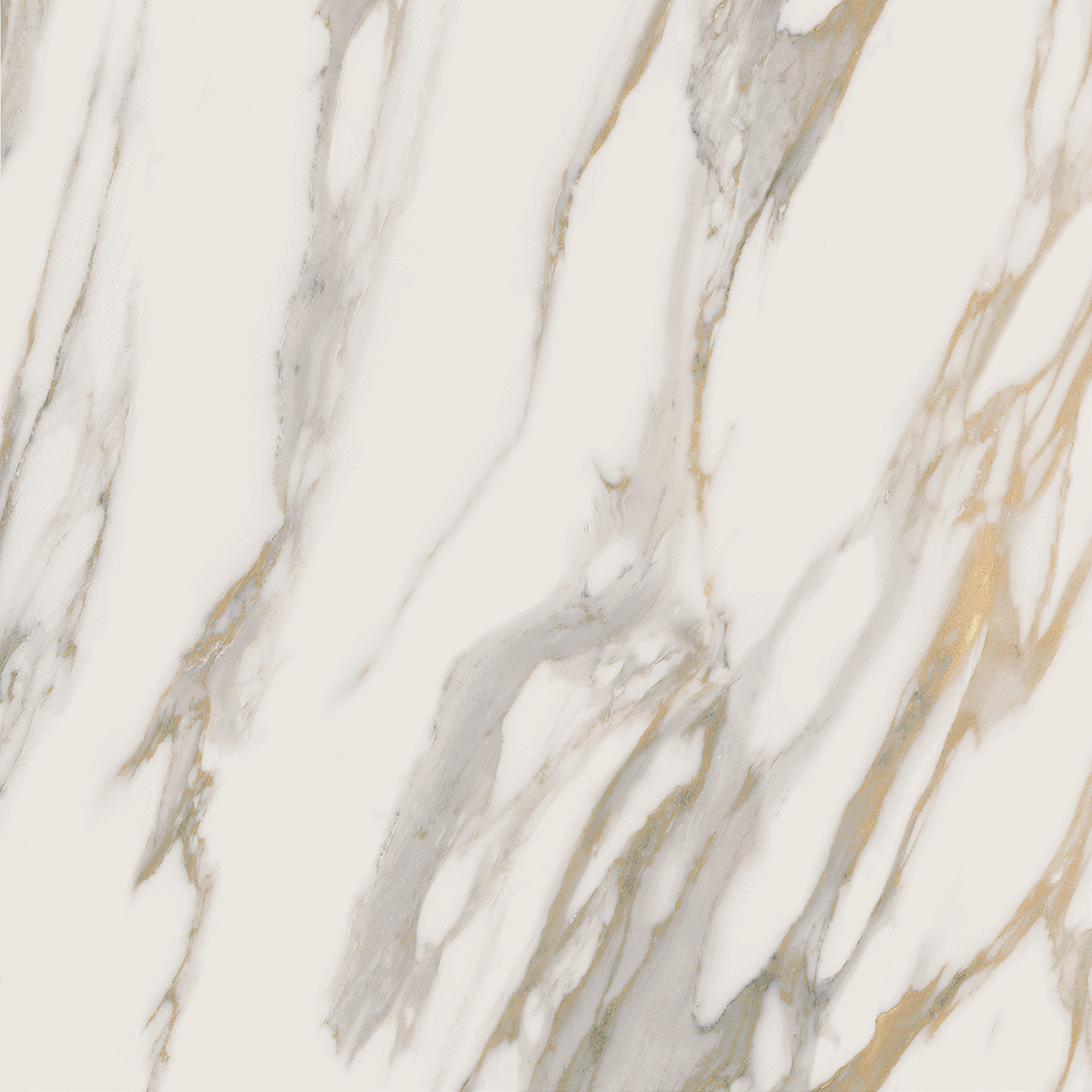 Плитка из керамогранита RM01 60x60x10 Полир. (Керамический гранит)