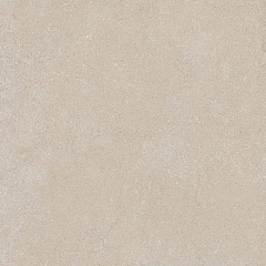Плитка из керамогранита COG301 60x60x20 Противоскольз.Рект. (Керамический гранит)