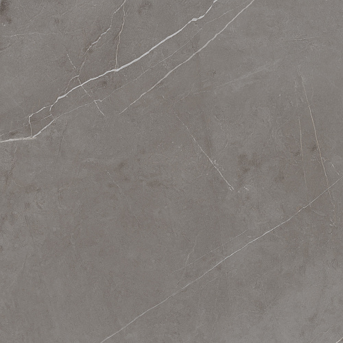 Плитка из керамогранита NL03 60x60x10 Непол.Рект. (Керамический гранит)