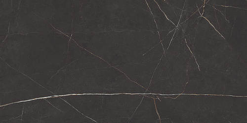 Плитка из керамогранита NL04 60x120x10 Непол.Рект. (Керамический гранит)