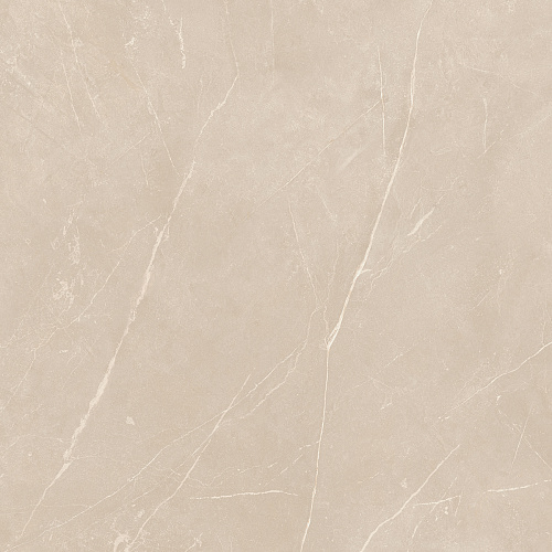 Плитка из керамогранита NL01 60x60x10 Полир. (Керамический гранит)