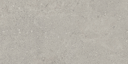Плитка из керамогранита NP01 30,6x60,9x8 Непол. (Керамический гранит)