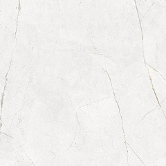 Плитка из керамогранита NL00 60x60x10 Непол.Рект. (Керамический гранит)