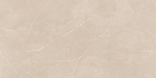 Плитка из керамогранита NL01 80x160x11 Непол.Рект. (Керамический гранит)
