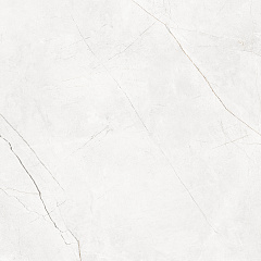 Плитка из керамогранита NL00 60x60x10 Непол.Рект. (Керамический гранит)