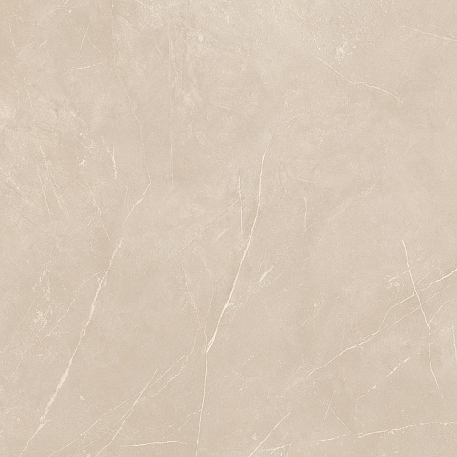 Плитка из керамогранита NL01 60x60x10 Полир. (Керамический гранит)
