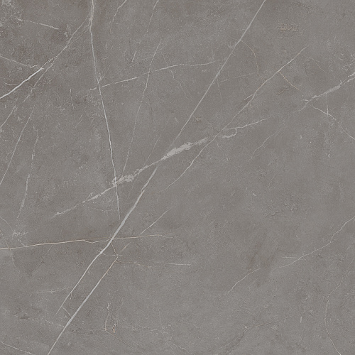 Плитка из керамогранита NL03 60x60x10 Непол.Рект. (Керамический гранит)