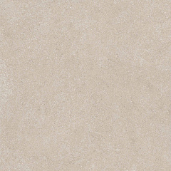 Плитка из керамогранита COG301 60x60x20 Противоскольз.Рект. (Керамический гранит)