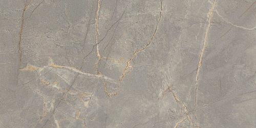 Плитка из керамогранита BR03 60x120x10 Полир. (Керамический гранит)