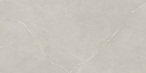Плитка из керамогранита NL02 60x120x10 Непол.Рект. (Керамический гранит)
