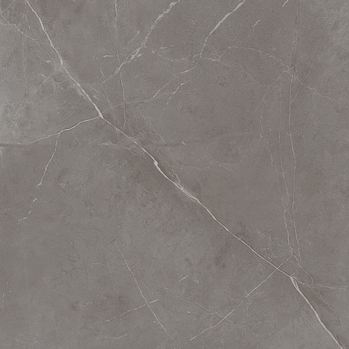 Плитка из керамогранита NL03 60x60x10 Непол.Рект. (Керамический гранит)