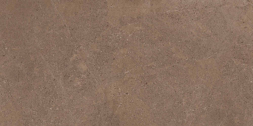 Плитка из керамогранита GO02 60x120x10 Непол.Рект. (Керамический гранит)