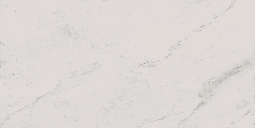 Плитка из керамогранита MO01 30,6x60,9x8 Непол. (Керамический гранит)