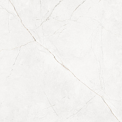 Плитка из керамогранита NL00 60x60x10 Непол.Рект. (Керамический гранит)