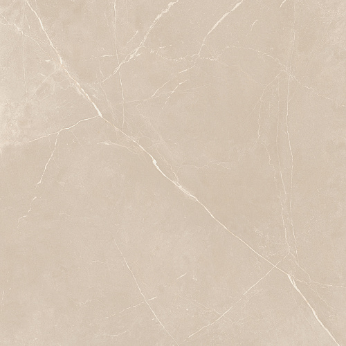 Плитка из керамогранита NL01 60x60x10 Полир. (Керамический гранит)