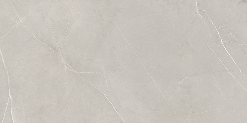 Плитка из керамогранита NL02 60x120x10 Непол.Рект. (Керамический гранит)