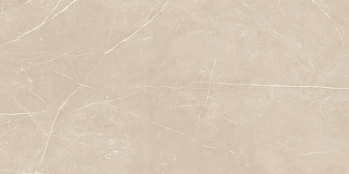 Плитка из керамогранита NL01 60x120x10 Непол.Рект. (Керамический гранит)