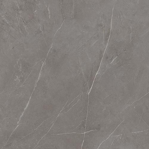 Плитка из керамогранита NL03 60x60x10 Непол.Рект. (Керамический гранит)
