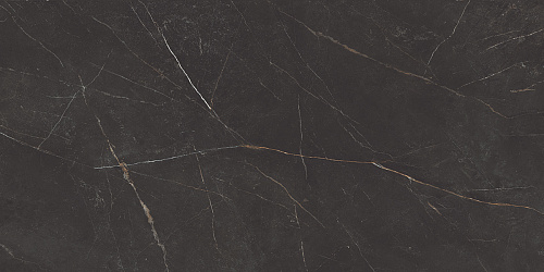 Плитка из керамогранита NL04 60x120x10 Непол.Рект. (Керамический гранит)