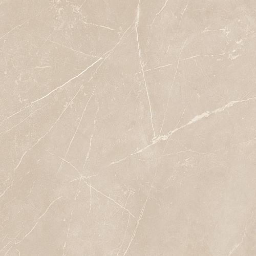 Плитка из керамогранита NL01 60x60x10 Полир. (Керамический гранит)