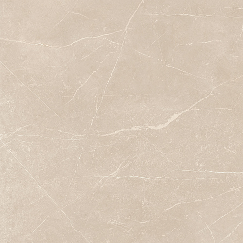 Плитка из керамогранита NL01 60x60x10 Непол.Рект. (Керамический гранит)