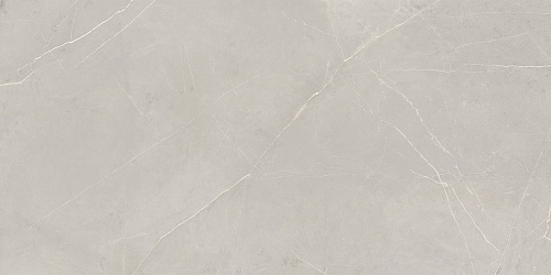 Плитка из керамогранита NL02 80x160x11 Непол.Рект. (Керамический гранит)