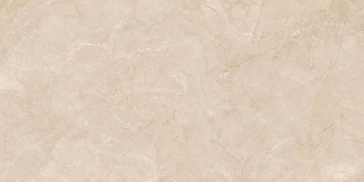 Плитка из керамогранита EXM301 60x120x9 Непол.Рект. (Керамический гранит)