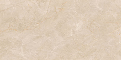 Плитка из керамогранита EXM301 60x120x9 Непол.Рект. (Керамический гранит)